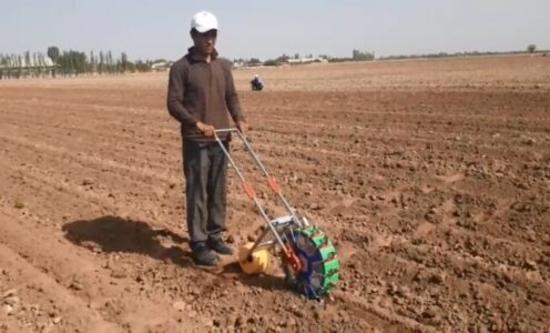 Dukkakli don yekinlari genetikasi va seleksiyasi laboratoriyasi