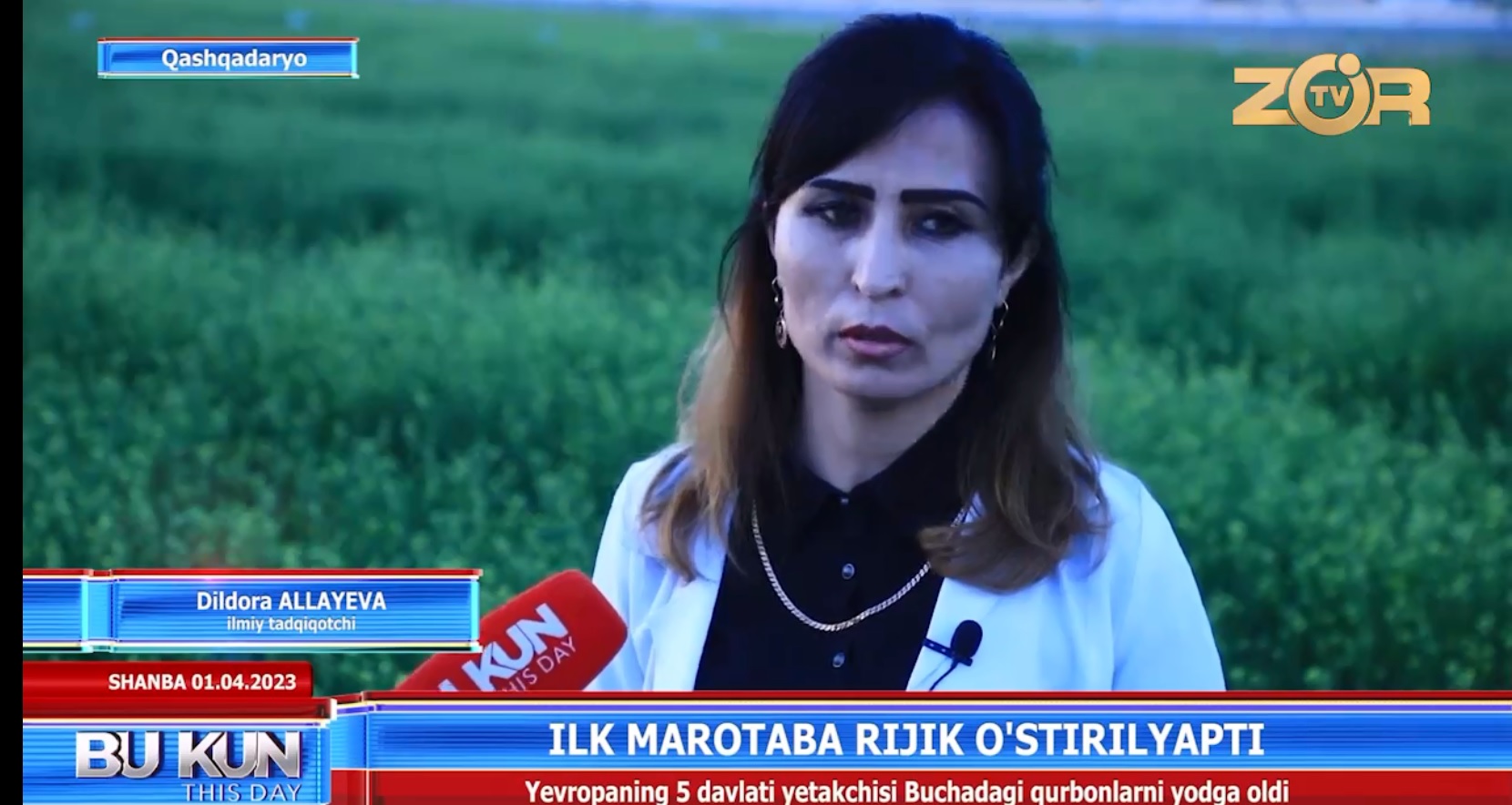 ILK MAROTABA RIJIK O`SIMLIGI YETISHTIRILISHI