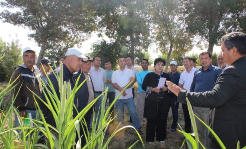 «Ozuqa ekinlarining yangi turlari va yetishtirish agrotexnologiyasi» mavzusida dala seminari tashkil etildi.