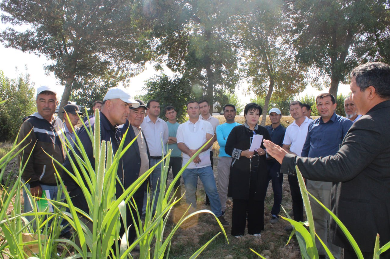 «Ozuqa ekinlarining yangi turlari va yetishtirish agrotexnologiyasi» mavzusida dala seminari tashkil etildi.