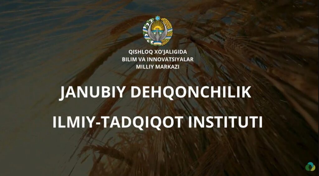 Janubiy dehqonchilik ilmiy-tadqiqot instituti